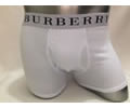 Burberry men Underwear
