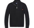 Ralph Lauren Mens Sweater best quality