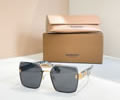 BURBERRY Sunglasses MODEL BE2491 SIZE 60-17-145