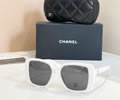 CHANEL Sunglasses MODEL CH9157 SIZE 53-19-142