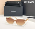 CHANEL Sunglasses MODEL A95095 SIZE 140-0-142