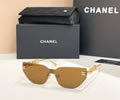 CHANEL Sunglasses MODEL A95095 SIZE 140-0-142