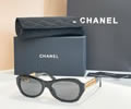 CHANEL Sunglasses MODEL 5537 SIZE 55-19-140