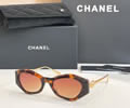CHANEL Sunglasses MODEL A95111 SIZE 53-20-142