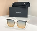 CHANEL Sunglasses MODEL CH5552 SIZE 64-14-140