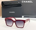 CHANEL Sunglasses MODEL 5557 SIZE 54-17-140
