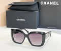 CHANEL Sunglasses MODEL 9191H SIZE 53-17-140