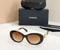 CHANEL Sunglasses MODEL 9179 SIZE 51-19-140