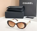 CHANEL Sunglasses MODEL CH9179 SIZE 52-19-140