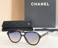 CHANEL Sunglasses MODEL CH5552U SIZE 54-19-145