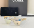 CHANEL Sunglasses MODEL 9174B SIZE 54-18-140