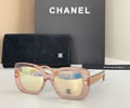 CHANEL Sunglasses MODEL 9173B SIZE 54-19-140
