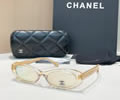 CHANEL Sunglasses MODEL 9175B SIZE 55-17-140