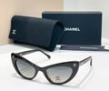CHANEL Sunglasses MODEL 71774 SIZE 54-20-140