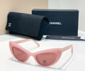 CHANEL Sunglasses MODEL 71774 SIZE 54-20-140