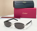 Cartier Sunglasses MODEL CT0056O SIZE 52-16-135 best quality 1:1 