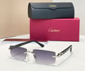 Cartier Sunglasses MODEL CT0581S SIZE 56-19-145 best quality 1:1 