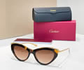 Cartier Sunglasses MODEL CT0596S SIZE 140 best quality 1:1 
