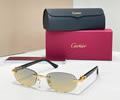 Cartier Sunglasses MODEL CT0455O SIZE 52-16-145 best quality 1:1