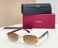 Cartier Sunglasses MODEL CT0455O SIZE 52-16-145 best quality 1:1