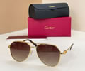 Cartier Sunglasses MODEL CT0364S SIZE 145 best quality 1:1 