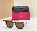 Cartier Sunglasses MODEL CT0612OA SIZE 52-20-145 best quality 1:1 