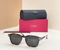 Cartier Sunglasses MODEL CT0612OA SIZE 52-20-145 best quality 1:1 