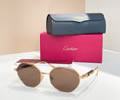 Cartier Sunglasses MODEL CT0484S SIZE 58-18-145 best quality 1:1 