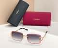 Cartier Sunglasses MODEL CT0832S SIZE 135 best quality 1:1 