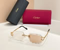 Cartier Sunglasses MODEL CT0701S SIZE 142 best quality 1:1 