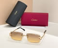 Cartier Sunglasses MODEL CT0700S SIZE 142 best quality 1:1 