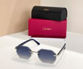 Cartier Sunglasses MODEL CT0439S SIZE 145 best quality 1:1 