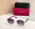 Cartier Sunglasses MODEL CT0439S SIZE 145 best quality 1:1 