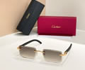 Cartier Sunglasses MODEL CT01672O SIZE 143 best quality 1:1 