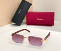Cartier Sunglasses MODEL CT01672O SIZE 143 best quality 1:1 
