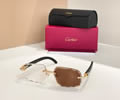 Cartier Sunglasses MODEL CT0703S SIZE 140 best quality 1:1 