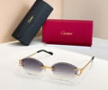Cartier Sunglasses MODEL CT02028O SIZE 142 best quality 1:1 