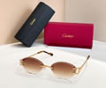 Cartier Sunglasses MODEL CT02028O SIZE 142 best quality 1:1 