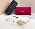 Cartier Sunglasses MODEL CT02028O SIZE 142 best quality 1:1 