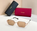 Cartier Sunglasses MODEL CT02027O SIZE 142 best quality 1:1 