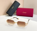 Cartier Sunglasses MODEL CT02027O SIZE 142 best quality 1:1 