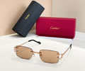 Cartier Sunglasses MODEL CT02026O SIZE 142best quality 1:1 