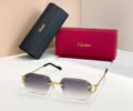 Cartier Sunglasses MODEL CT02029O SIZE 142 best quality 1:1 