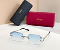 Cartier Sunglasses MODEL CT02029O SIZE 142 best quality 1:1 
