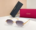 Cartier Sunglasses MODEL CT0929S Size 143 best quality 1:1 
