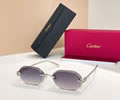 Cartier Sunglasses MODEL CT0929S Size 143 best quality 1:1 
