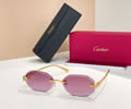 Cartier Sunglasses MODEL CT0929S Size 143 best quality 1:1 