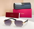 Cartier Sunglasses MODEL CT0583O Size 145 best quality 1:1 