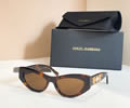 Dolce & Gabbana Sunglasses MODEL DG1663LB SIZE 54-18-145