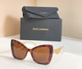 Dolce & Gabbana Sunglasses MODEL DG6691 SIZE 55-19-145